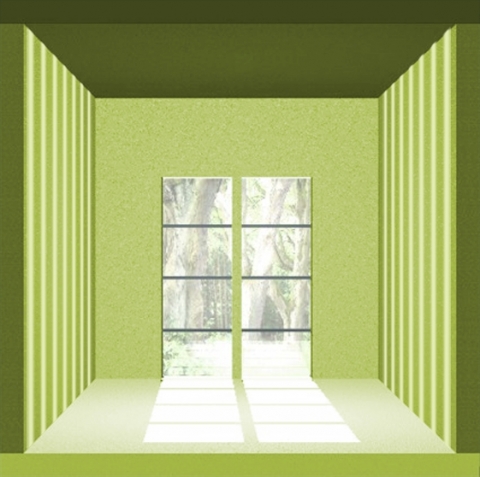 Eine Grafik von der Sto Struktur längs in grün bei der das ein größeres Raumgefühl herrscht